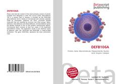 Copertina di DEFB106A