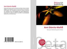 Couverture de Amt Dömitz-Malliß