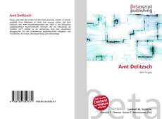Capa do livro de Amt Delitzsch 
