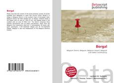 Couverture de Borgal