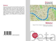Couverture de Bokanur