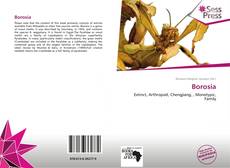 Portada del libro de Borosia