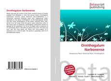 Ornithogalum Narbonense的封面