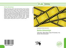 Bookcover of Keita Amemiya