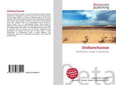Orobanchaceae的封面
