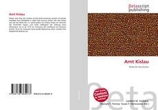 Couverture de Amt Kislau