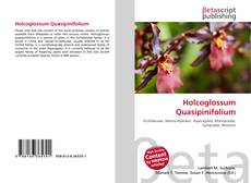 Couverture de Holcoglossum Quasipinifolium
