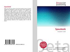 Copertina di Spaubeek