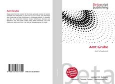 Couverture de Amt Grube