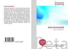 Portada del libro de Amt Jevenstedt