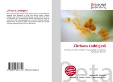 Buchcover von Cirrhaea Loddigesii
