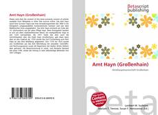 Portada del libro de Amt Hayn (Großenhain)