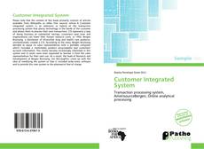 Bookcover of Customer Integrated System