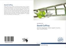 Buchcover von David Caffrey