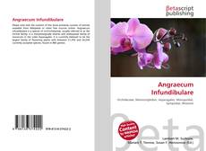 Capa do livro de Angraecum Infundibulare 