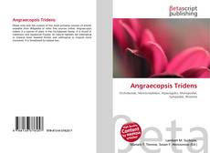 Angraecopsis Tridens的封面