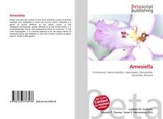 Buchcover von Amesiella