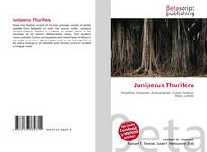 Copertina di Juniperus Thurifera