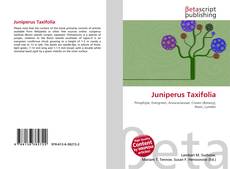 Copertina di Juniperus Taxifolia