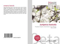 Copertina di Juniperus Saxicola