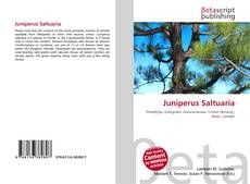 Copertina di Juniperus Saltuaria