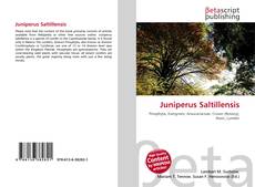 Copertina di Juniperus Saltillensis