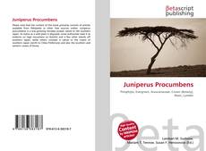 Copertina di Juniperus Procumbens
