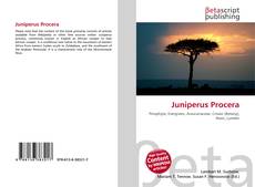 Copertina di Juniperus Procera