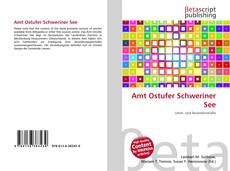 Amt Ostufer Schweriner See的封面