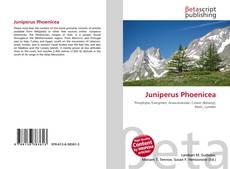 Capa do livro de Juniperus Phoenicea 