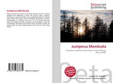 Capa do livro de Juniperus Monticola 