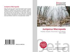 Copertina di Juniperus Macropoda