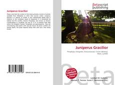 Copertina di Juniperus Gracilior