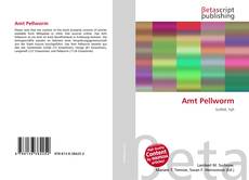 Portada del libro de Amt Pellworm
