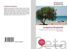 Buchcover von Juniperus Drupacea