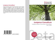 Copertina di Juniperus Convallium