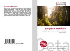 Copertina di Juniperus Brevifolia