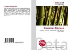 Couverture de Cupressus Pigmaea