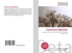 Capa do livro de Cupressus Gigantea 