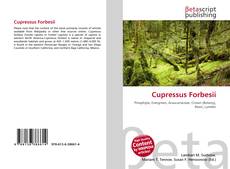 Copertina di Cupressus Forbesii