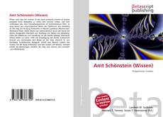 Copertina di Amt Schönstein (Wissen)