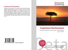 Copertina di Cupressus Duclouxiana