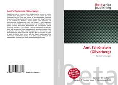 Copertina di Amt Schönstein (Gilserberg)