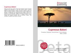 Copertina di Cupressus Bakeri