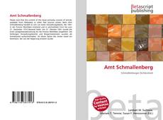 Capa do livro de Amt Schmallenberg 