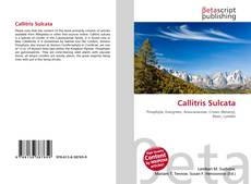 Capa do livro de Callitris Sulcata 