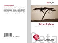 Capa do livro de Callitris Endlicheri 