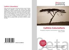 Portada del libro de Callitris Columellaris