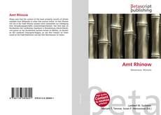 Обложка Amt Rhinow