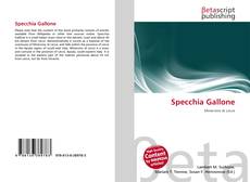 Specchia Gallone的封面